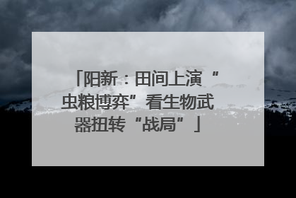 阳新：田间上演“虫粮博弈”看生物武器扭转“战局”
