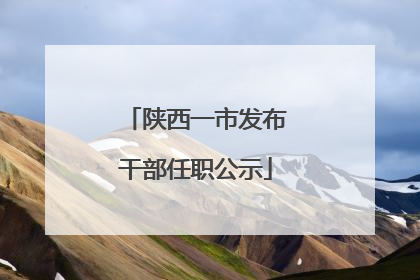 陕西一市发布干部任职公示