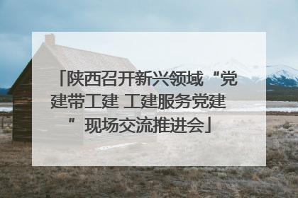 陕西召开新兴领域“党建带工建 工建服务党建”现场交流推进会
