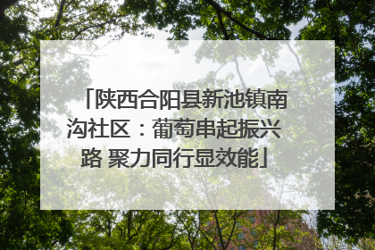 陕西合阳县新池镇南沟社区：葡萄串起振兴路 聚力同行显效能