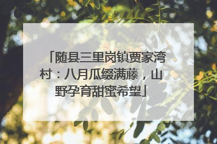 随县三里岗镇贾家湾村：八月瓜缀满藤，山野孕育甜蜜希望