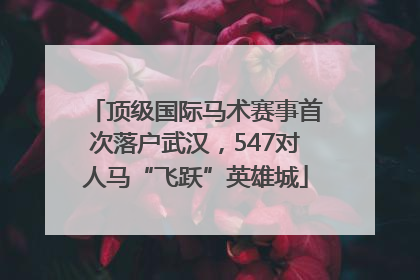 顶级国际马术赛事首次落户武汉，547对人马“飞跃”英雄城