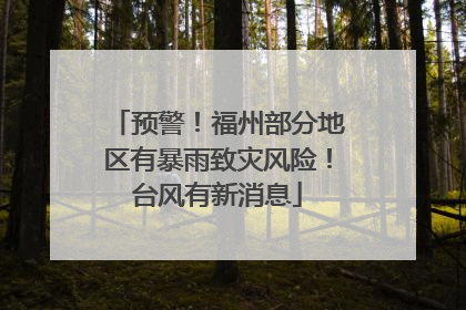 预警！福州部分地区有暴雨致灾风险！台风有新消息