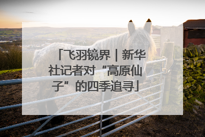 飞羽镜界｜新华社记者对“高原仙子”的四季追寻