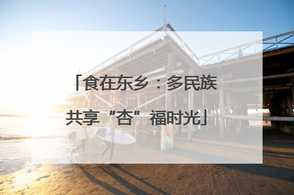 食在东乡：多民族共享“杏”福时光