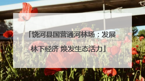 饶河县国营通河林场：发展林下经济 焕发生态活力