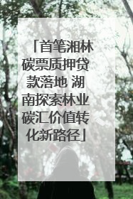 首笔湘林碳票质押贷款落地 湖南探索林业碳汇价值转化新路径
