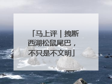 马上评｜拽断西湖松鼠尾巴，不只是不文明