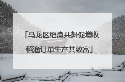 马龙区稻渔共舞促增收 稻渔订单生产共致富