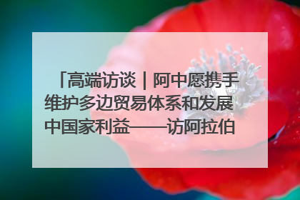 高端访谈｜阿中愿携手维护多边贸易体系和发展中国家利益——访阿拉伯议会议长亚马希