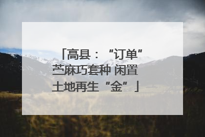 高县：“订单”苎麻巧套种 闲置土地再生“金”