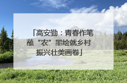 高安勤：青春作笔蘸“农”墨绘就乡村振兴壮美画卷