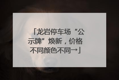 龙岩停车场“公示牌”焕新，价格不同颜色不同→