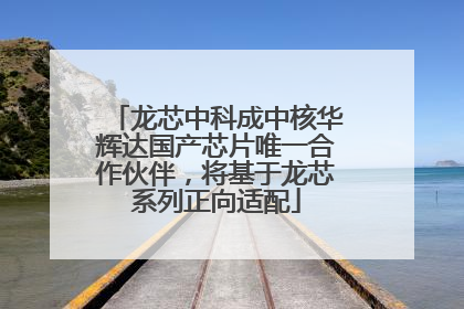 龙芯中科成中核华辉达国产芯片唯一合作伙伴，将基于龙芯系列正向适配
