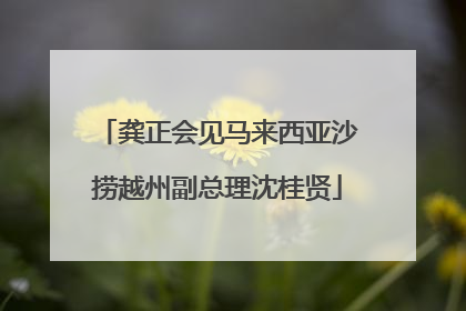 龚正会见马来西亚沙捞越州副总理沈桂贤
