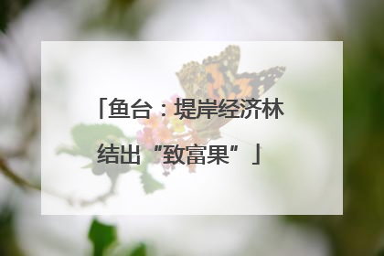 鱼台：堤岸经济林结出“致富果”