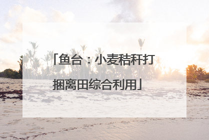鱼台：小麦秸秆打捆离田综合利用