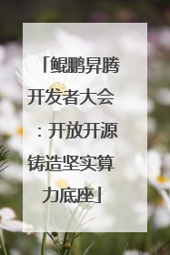 鲲鹏昇腾开发者大会：开放开源铸造坚实算力底座