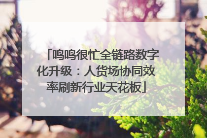 鸣鸣很忙全链路数字化升级：人货场协同效率刷新行业天花板