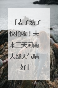 麦子熟了快抢收！未来三天河南大部天气晴好
