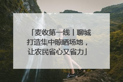 麦收第一线丨聊城打造集中晾晒场地，让农民省心又省力
