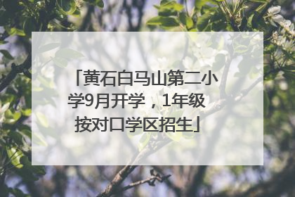 黄石白马山第二小学9月开学，1年级按对口学区招生