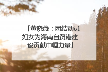 黄晓薇：团结动员妇女为海南自贸港建设贡献巾帼力量