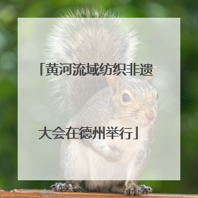 黄河流域纺织非遗大会在德州举行