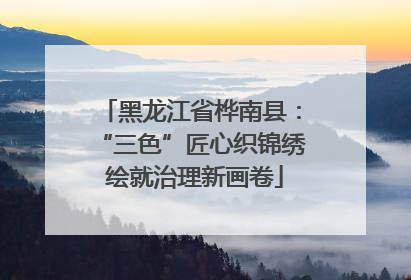 黑龙江省桦南县：“三色”匠心织锦绣 绘就治理新画卷