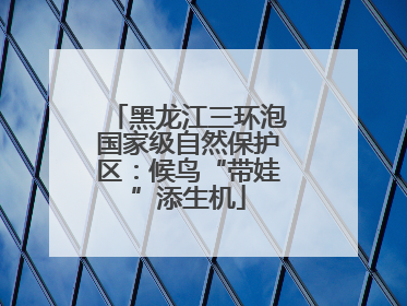黑龙江三环泡国家级自然保护区：候鸟“带娃”添生机
