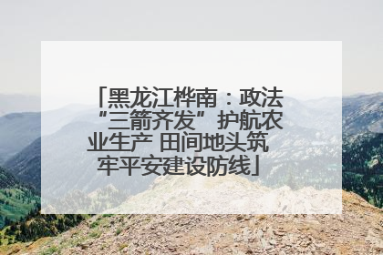 黑龙江桦南：政法“三箭齐发”护航农业生产 田间地头筑牢平安建设防线