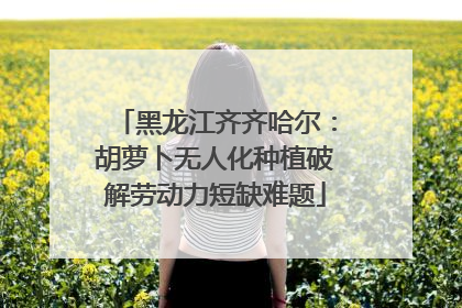 黑龙江齐齐哈尔：胡萝卜无人化种植破解劳动力短缺难题