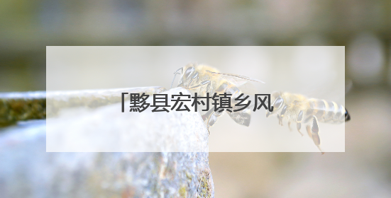 黟县宏村镇乡风文明评议激活基层治理“大动能”