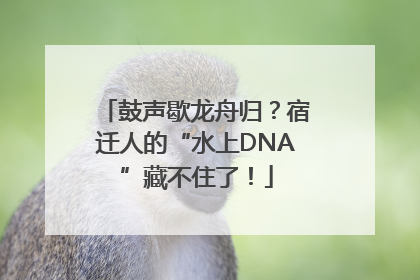 鼓声歇龙舟归？宿迁人的“水上DNA”藏不住了！