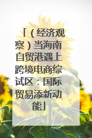 （经济观察）当海南自贸港遇上跨境电商综试区：国际贸易添新动能
