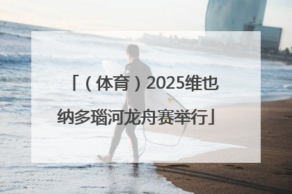 （体育）2025维也纳多瑙河龙舟赛举行