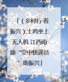 （乡村行·看振兴）土鸡坐上无人机 江西南康“空中快递员”助振兴