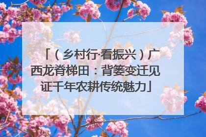（乡村行·看振兴）广西龙脊梯田：背篓变迁见证千年农耕传统魅力