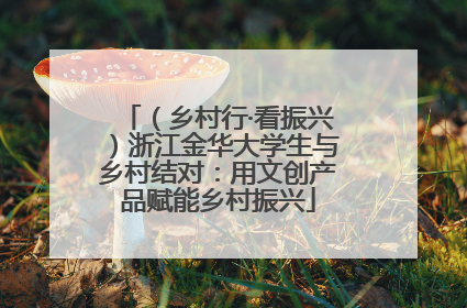 （乡村行·看振兴）浙江金华大学生与乡村结对：用文创产品赋能乡村振兴