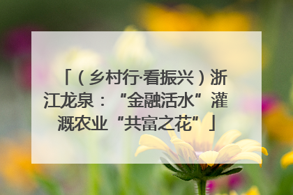 （乡村行·看振兴）浙江龙泉：“金融活水”灌溉农业“共富之花”