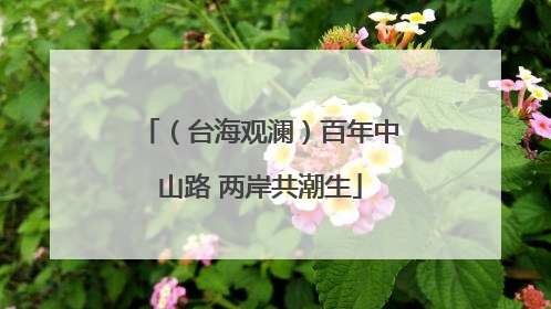（台海观澜）百年中山路 两岸共潮生