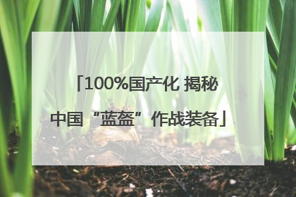 100%国产化 揭秘中国“蓝盔”作战装备