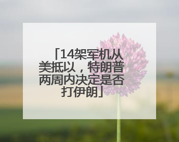 14架军机从美抵以，特朗普两周内决定是否打伊朗