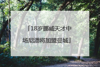 18岁挪威天才中场尼潘将加盟曼城