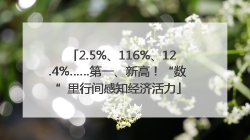 2.5%、116%、12.4%……第一、新高！“数”里行间感知经济活力