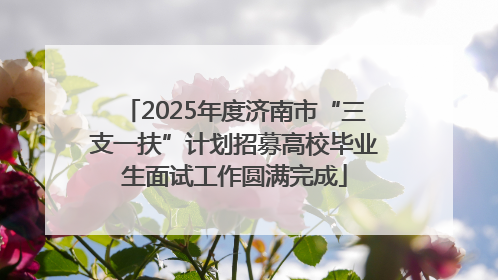 2025年度济南市“三支一扶”计划招募高校毕业生面试工作圆满完成