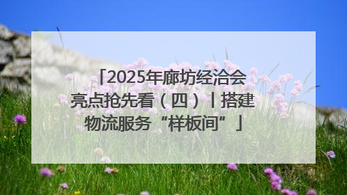 2025年廊坊经洽会亮点抢先看（四）丨搭建物流服务“样板间”