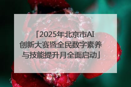 2025年北京市AI创新大赛暨全民数字素养与技能提升月全面启动