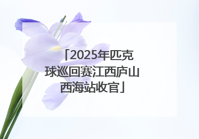 2025年匹克球巡回赛江西庐山西海站收官
