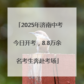 2025年济南中考今日开考，8.8万余名考生奔赴考场